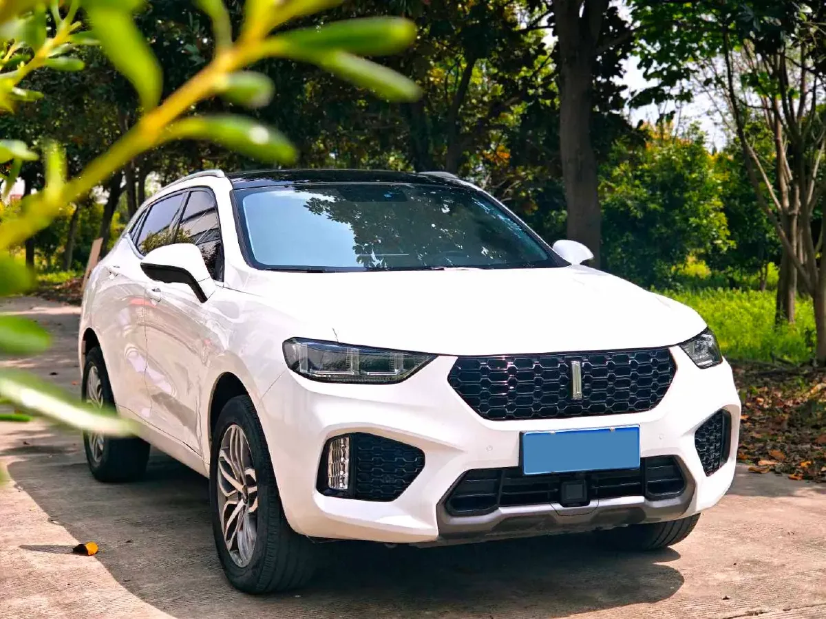 2019 WEY VV5 2.0T 197HP L4 7DCT,autocango,china used car exporter,china ev exporter,chinese used car exporter,chinese used ev exporter
