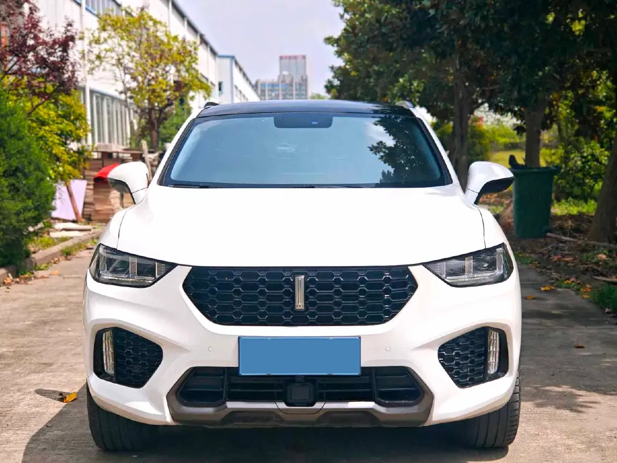 2019 WEY VV5 2.0T 197HP L4 7DCT,autocango,china used car exporter,china ev exporter,chinese used car exporter,chinese used ev exporter