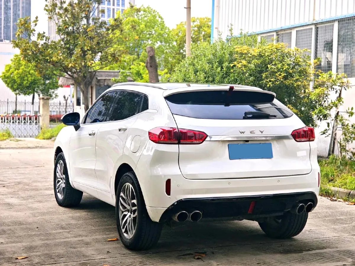 2019 WEY VV5 2.0T 197HP L4 7DCT,autocango,china used car exporter,china ev exporter,chinese used car exporter,chinese used ev exporter