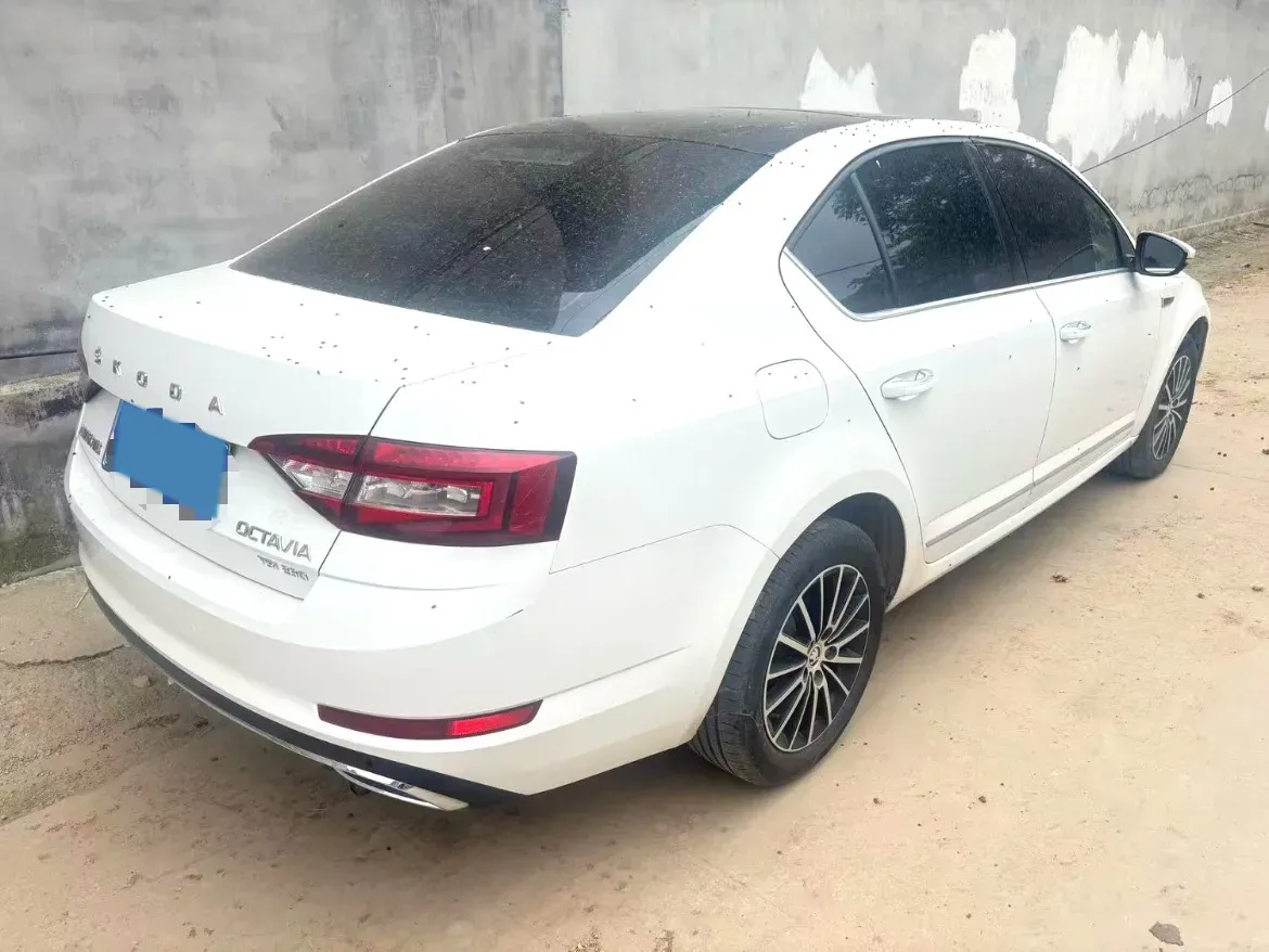 2019 Skoda Octavia 1.2T 116HP L4 7DCT,autocango,china used car exporter,china ev exporter,chinese used car exporter,chinese used ev exporter