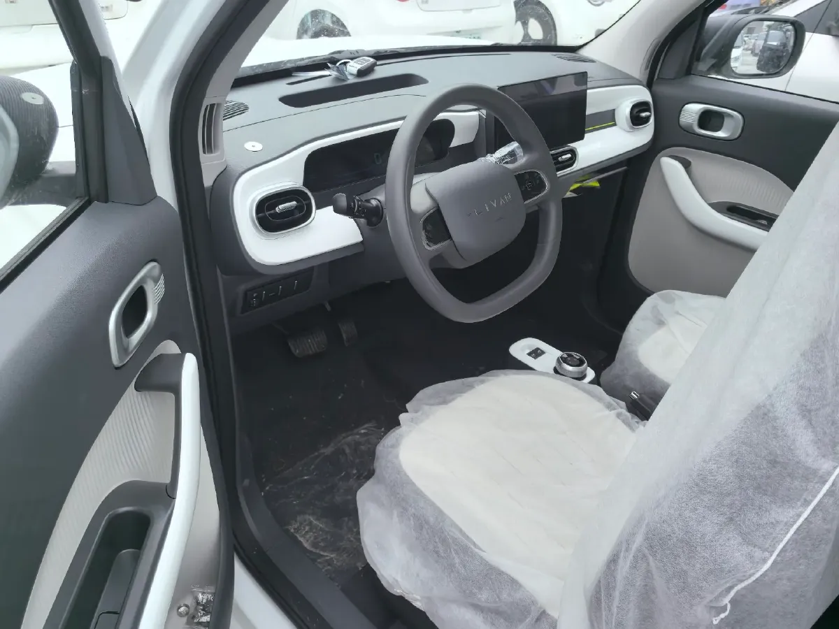2025 Geely Lanqiqiu BEV,autocango,china used car exporter,china ev exporter,chinese used car exporter,chinese used ev exporter
