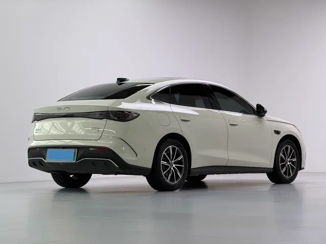 miniatura 10