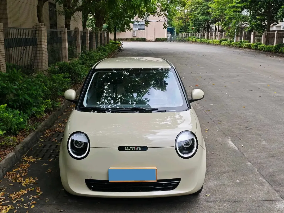 2024 ChangAn QiYuan Lumin BEV 17.65KWH,autocango,china used car exporter,china ev exporter,chinese used car exporter,chinese used ev exporter