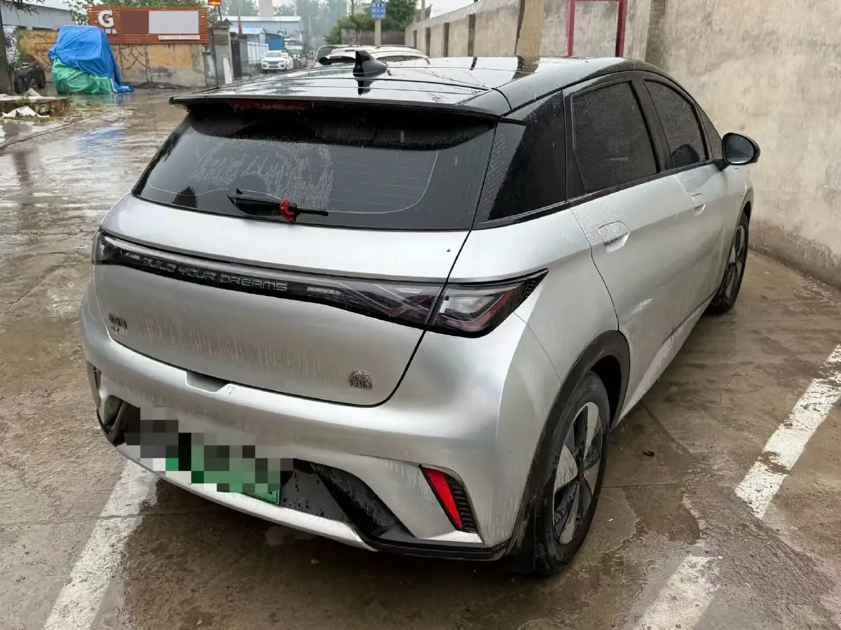 2023 BYD Dolphin BEV 44.928KWH,autocango,china used car exporter,china ev exporter,chinese used car exporter,chinese used ev exporter