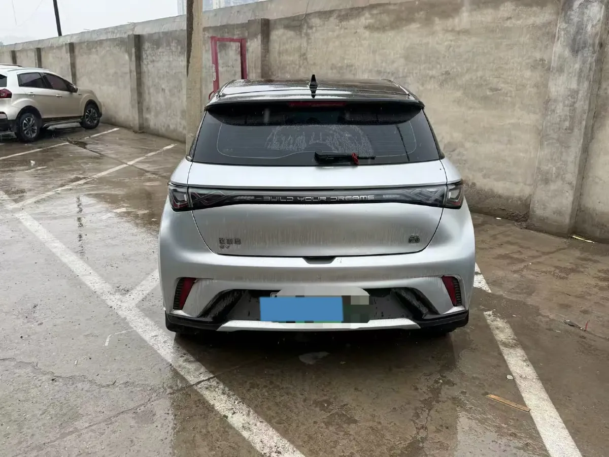 2023 BYD Dolphin BEV 44.928KWH,autocango,china used car exporter,china ev exporter,chinese used car exporter,chinese used ev exporter