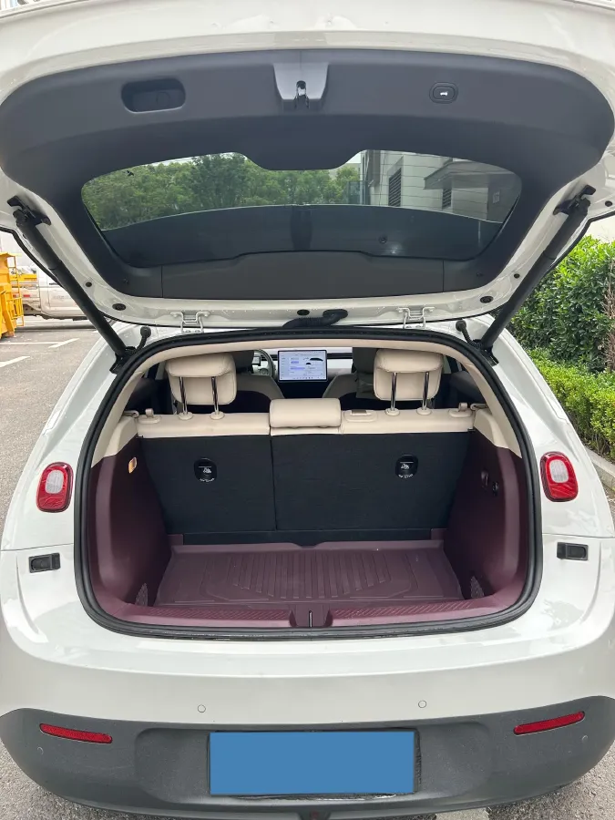 2025 Firefly Firefly BEV,autocango,china used car exporter,china ev exporter,chinese used car exporter,chinese used ev exporter
