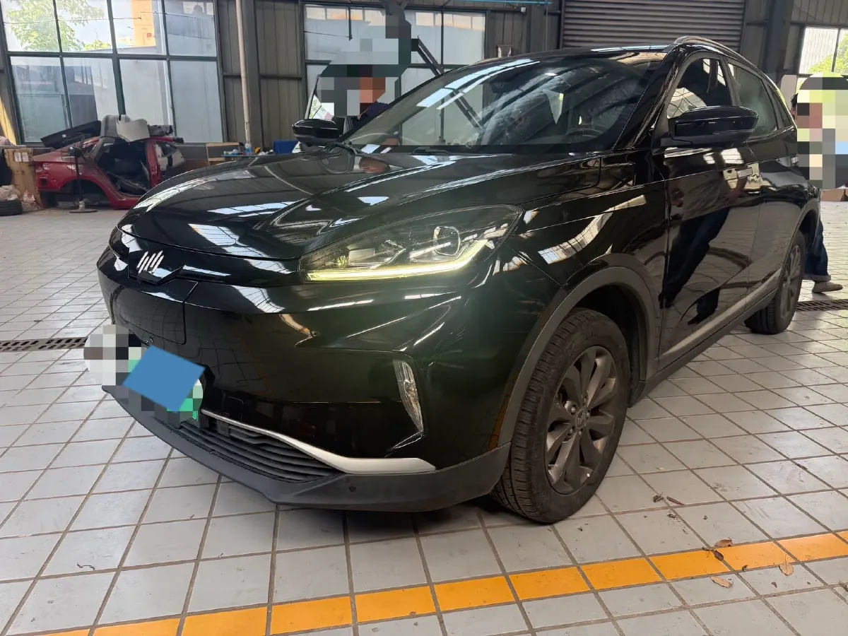 2018 Weltmeister EX5 BEV 52.56KWH,autocango,china used car exporter,china ev exporter,chinese used car exporter,chinese used ev exporter