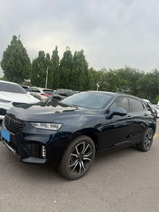 2019 WEY VV7 2.0T 234HP L4 7DCT,autocango,china used car exporter,china ev exporter,chinese used car exporter,chinese used ev exporter