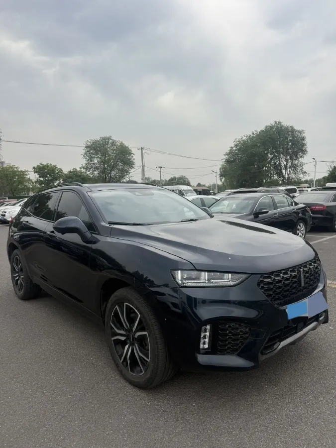 2019 WEY VV7 2.0T 234HP L4 7DCT,autocango,china used car exporter,china ev exporter,chinese used car exporter,chinese used ev exporter