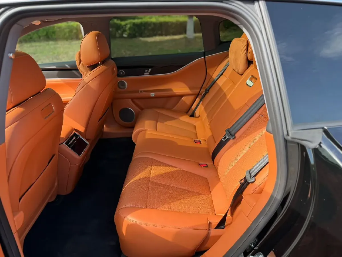 2025 HIMA Stelato S9T REEV 160HP REEV,autocango,china used car exporter,china ev exporter,chinese used car exporter,chinese used ev exporter