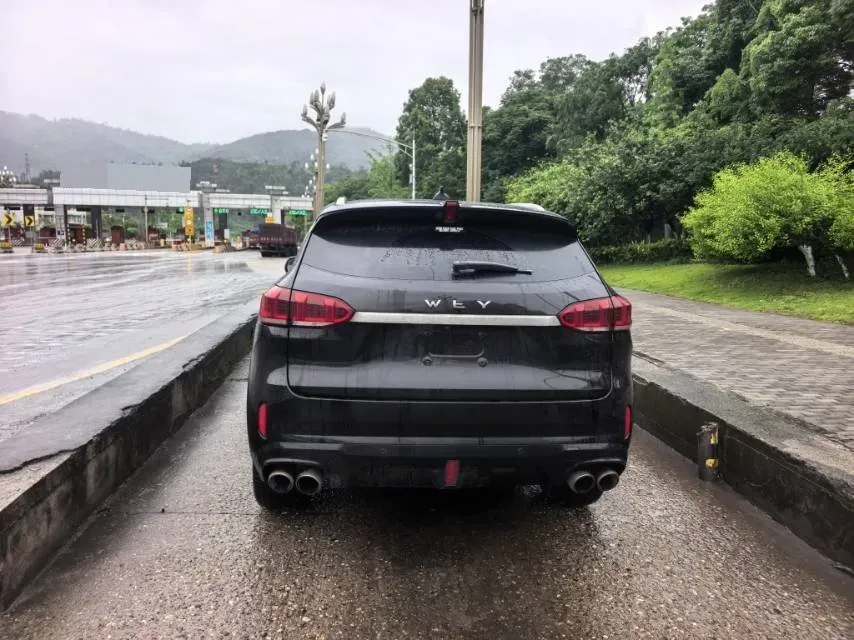 2020 WEY VV6 2.0T 227HP L4 7DCT,autocango,china used car exporter,china ev exporter,chinese used car exporter,chinese used ev exporter