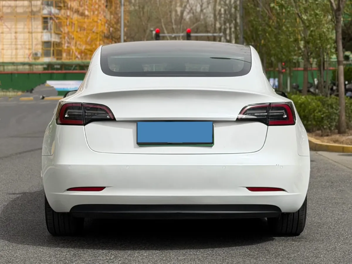 2020 Tesla Model 3 BEV 55KWH,autocango,china used car exporter,china ev exporter,chinese used car exporter,chinese used ev exporter