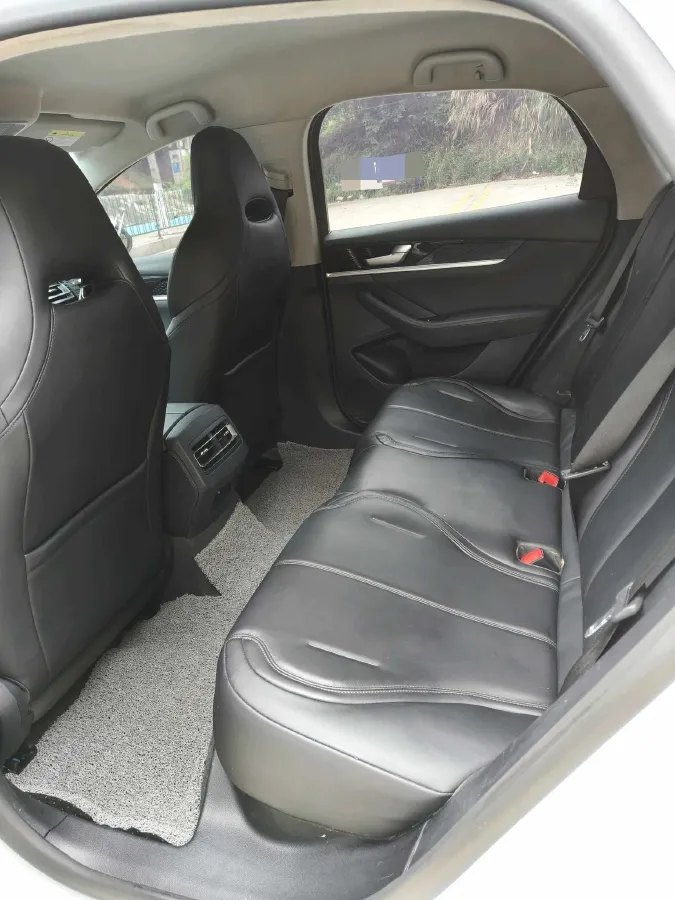 2021 BYD Qin BEV 53.56KWH,autocango,china used car exporter,china ev exporter,chinese used car exporter,chinese used ev exporter