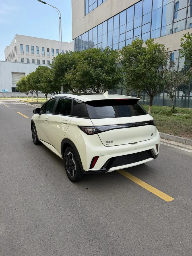 2021 BYD Yuan Pro BEV 50.1KWH,autocango,china used car exporter,china ev exporter,chinese used car exporter,chinese used ev exporter
