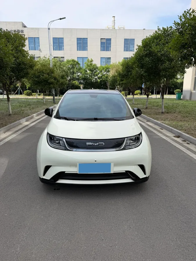 2021 BYD Yuan Pro BEV 50.1KWH,autocango,china used car exporter,china ev exporter,chinese used car exporter,chinese used ev exporter