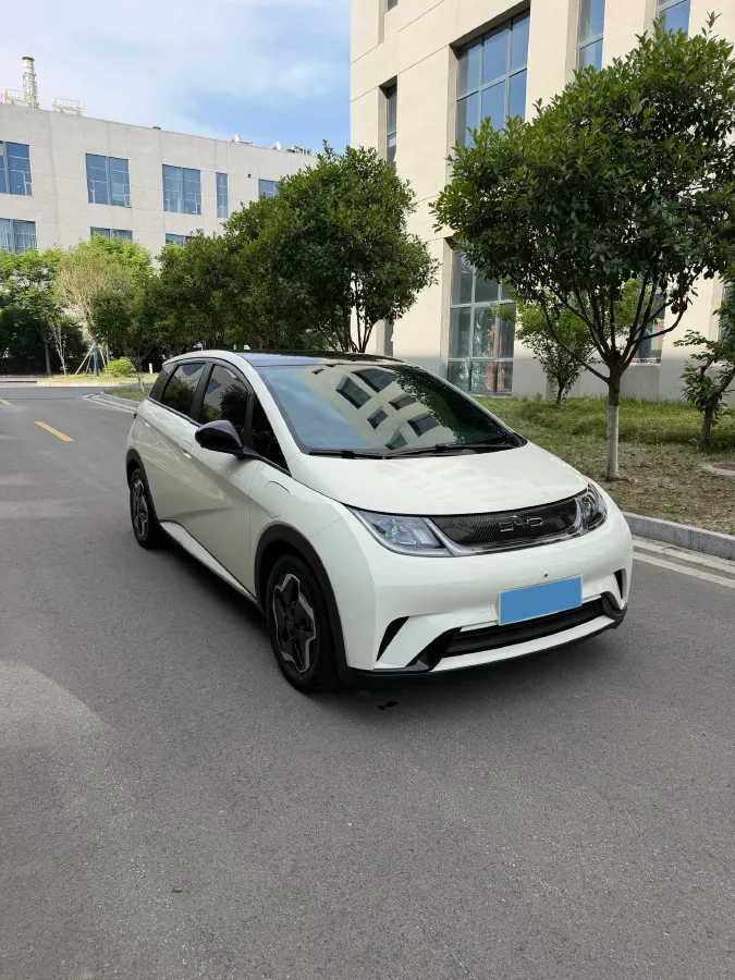 2021 BYD Yuan Pro BEV 50.1KWH,autocango,china used car exporter,china ev exporter,chinese used car exporter,chinese used ev exporter