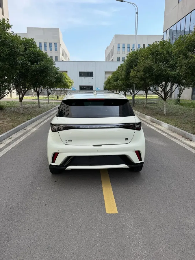 2021 BYD Yuan Pro BEV 50.1KWH,autocango,china used car exporter,china ev exporter,chinese used car exporter,chinese used ev exporter