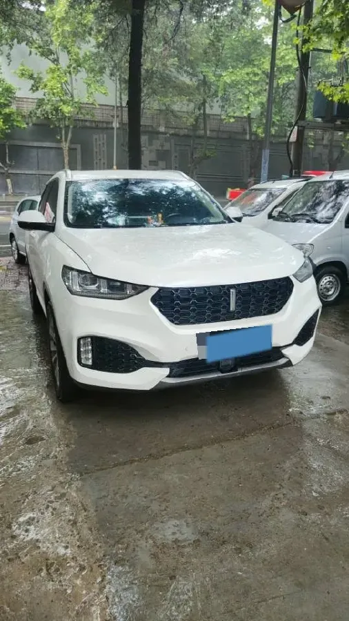 2018 WEY VV6 2.0T 197HP L4 7DCT,autocango,china used car exporter,china ev exporter,chinese used car exporter,chinese used ev exporter