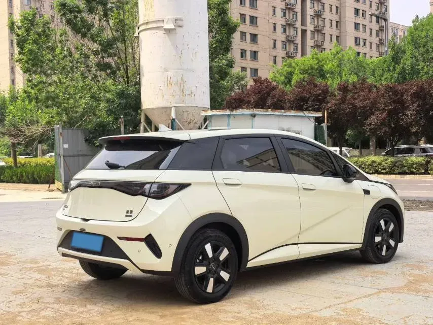 2025 BYD Dolphin BEV 45.12KWH,autocango,china used car exporter,china ev exporter,chinese used car exporter,chinese used ev exporter