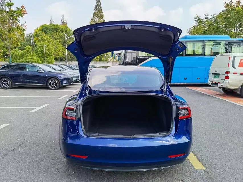 2020 Tesla Model 3 BEV 52KWH,autocango,china used car exporter,china ev exporter,chinese used car exporter,chinese used ev exporter