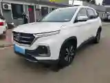 2019 BaoJun 530 1.5T 151HP L4 CVT