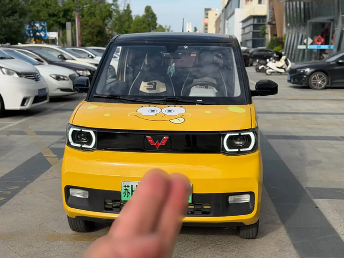 2021 WuLing HongGuang MINI EV BEV 9.3KWH,autocango,china used car exporter,china ev exporter,chinese used car exporter,chinese used ev exporter