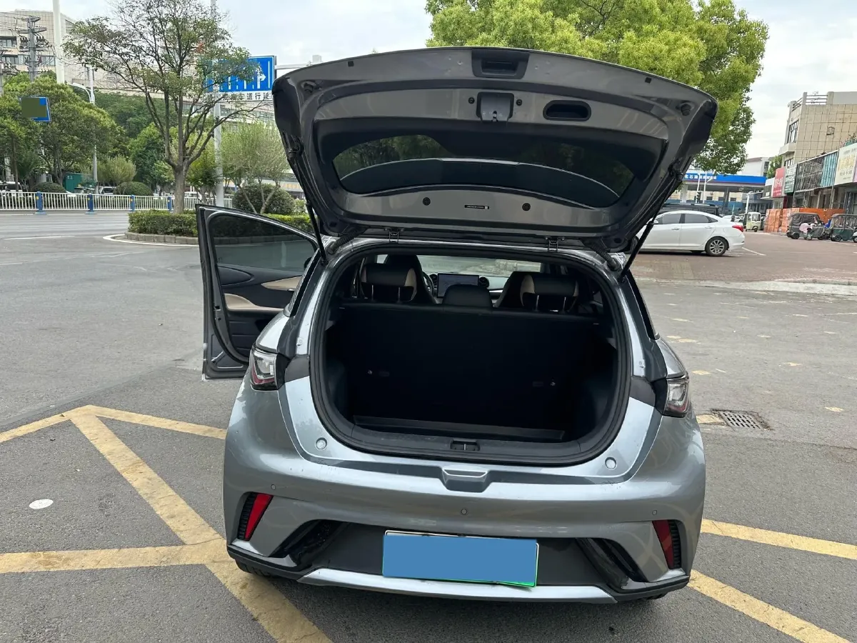 2023 BYD Dolphin BEV 44.928KWH,autocango,china used car exporter,china ev exporter,chinese used car exporter,chinese used ev exporter