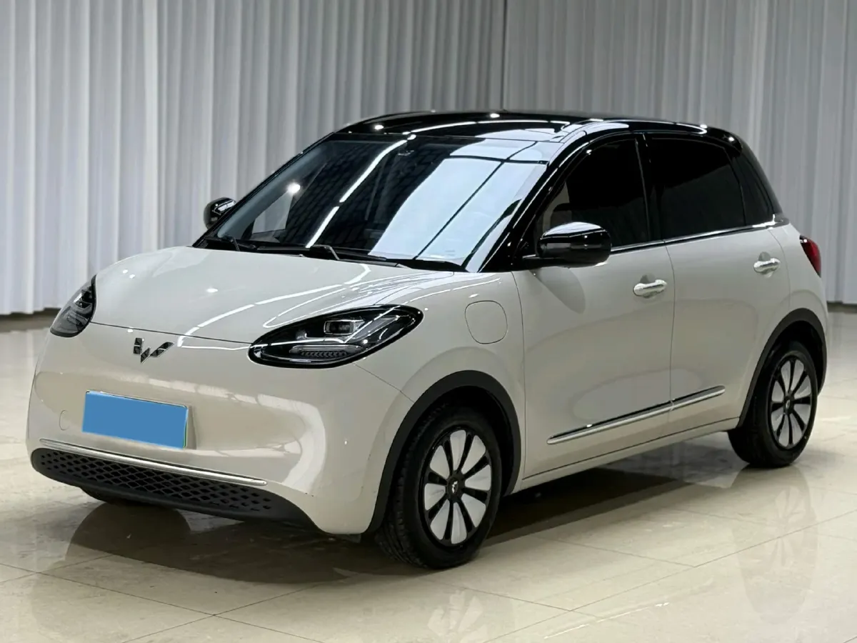 2024 WuLing BinGuo BEV 31.9KWH,autocango,china used car exporter,china ev exporter,chinese used car exporter,chinese used ev exporter