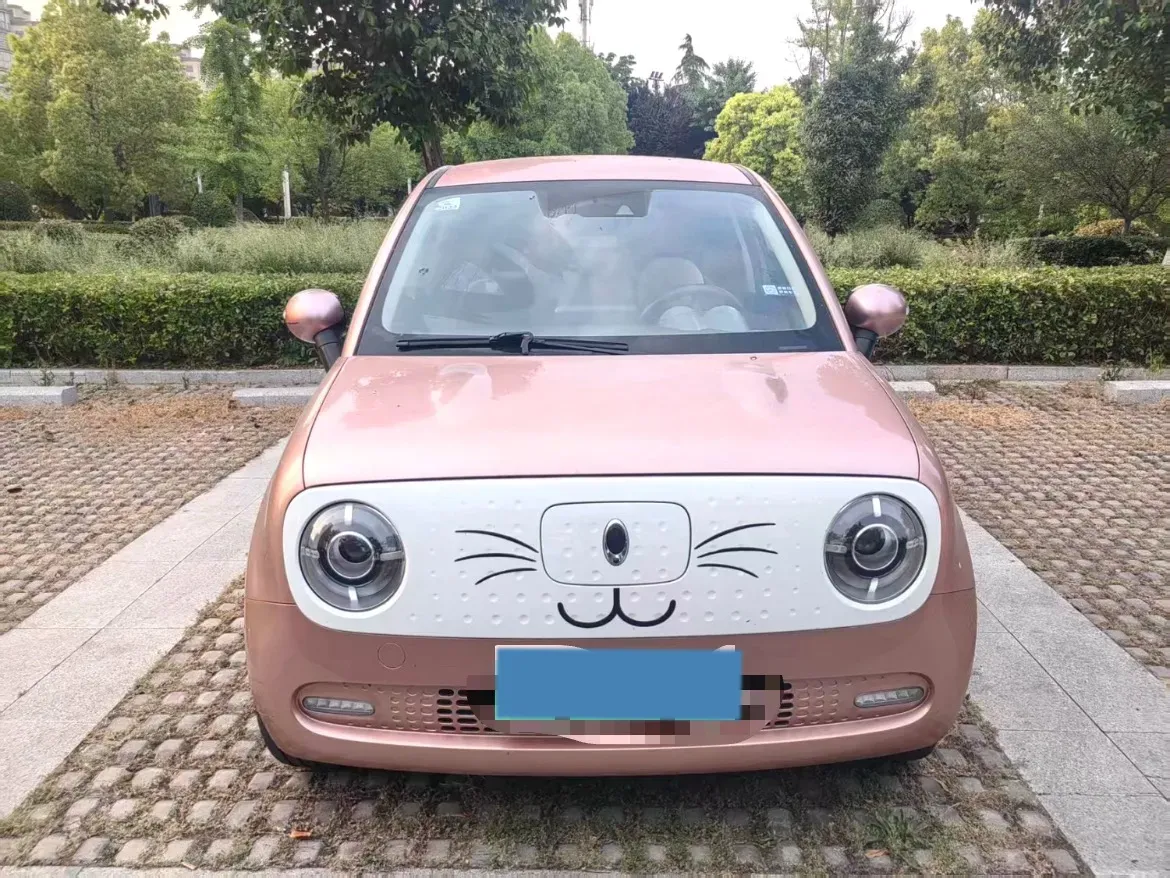 2021 Ora BlackCat BEV 33KWH,autocango,china used car exporter,china ev exporter,chinese used car exporter,chinese used ev exporter