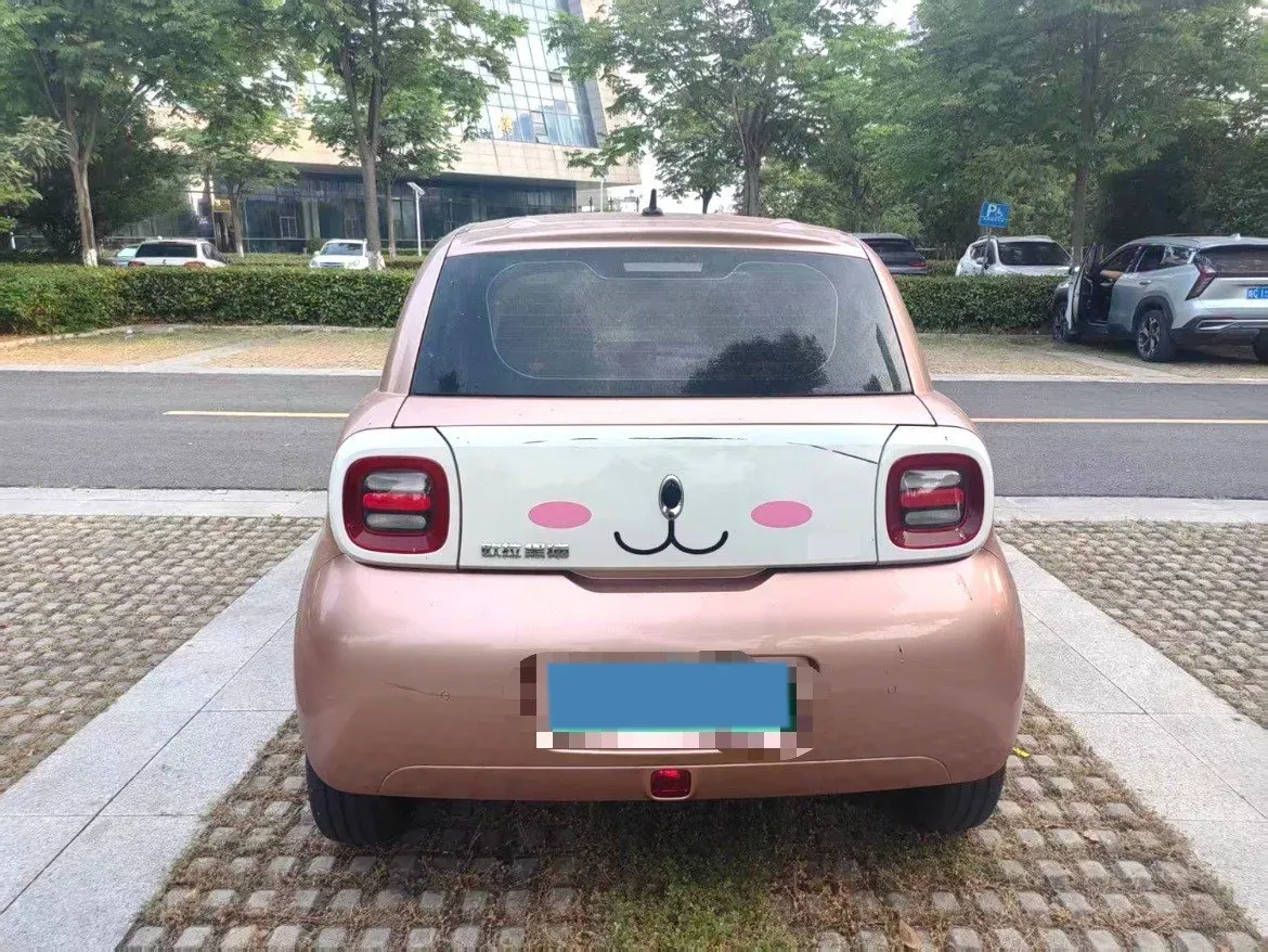 2021 Ora BlackCat BEV 33KWH,autocango,china used car exporter,china ev exporter,chinese used car exporter,chinese used ev exporter