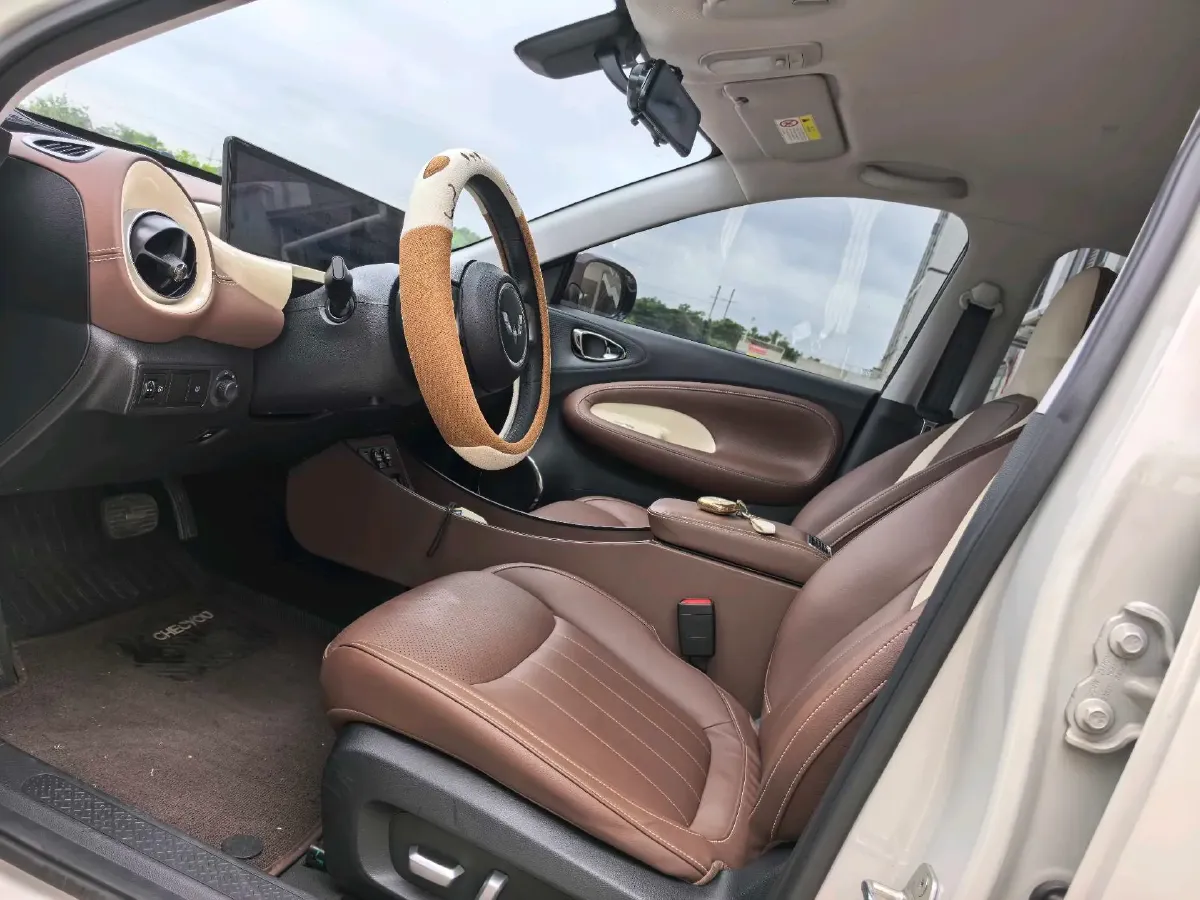 2023 WuLing BinGuo BEV 31.9KWH,autocango,china used car exporter,china ev exporter,chinese used car exporter,chinese used ev exporter