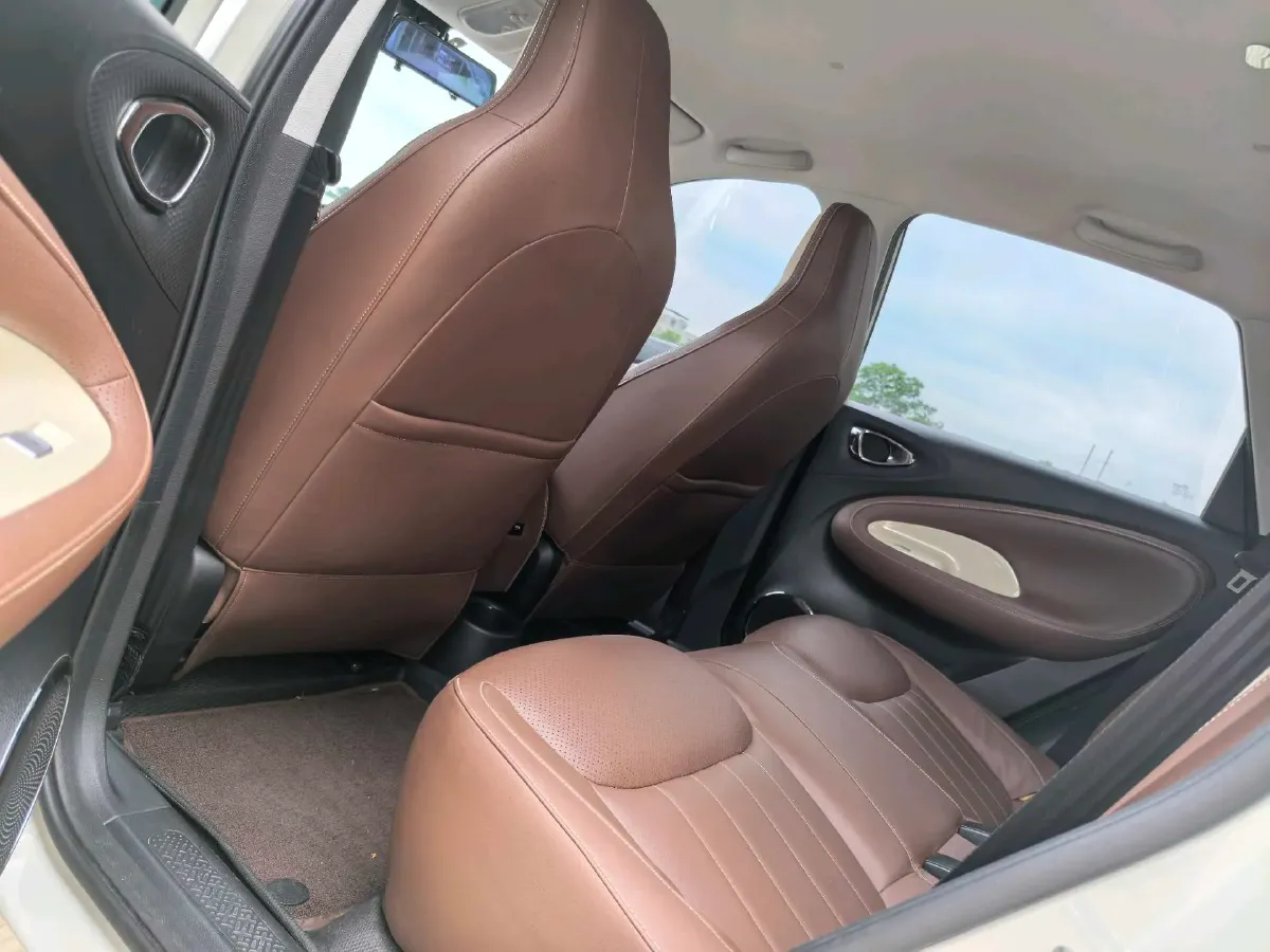 2023 WuLing BinGuo BEV 31.9KWH,autocango,china used car exporter,china ev exporter,chinese used car exporter,chinese used ev exporter
