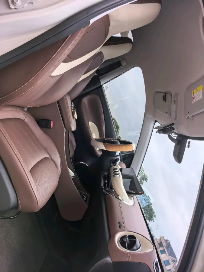 2023 WuLing BinGuo BEV 31.9KWH,autocango,china used car exporter,china ev exporter,chinese used car exporter,chinese used ev exporter