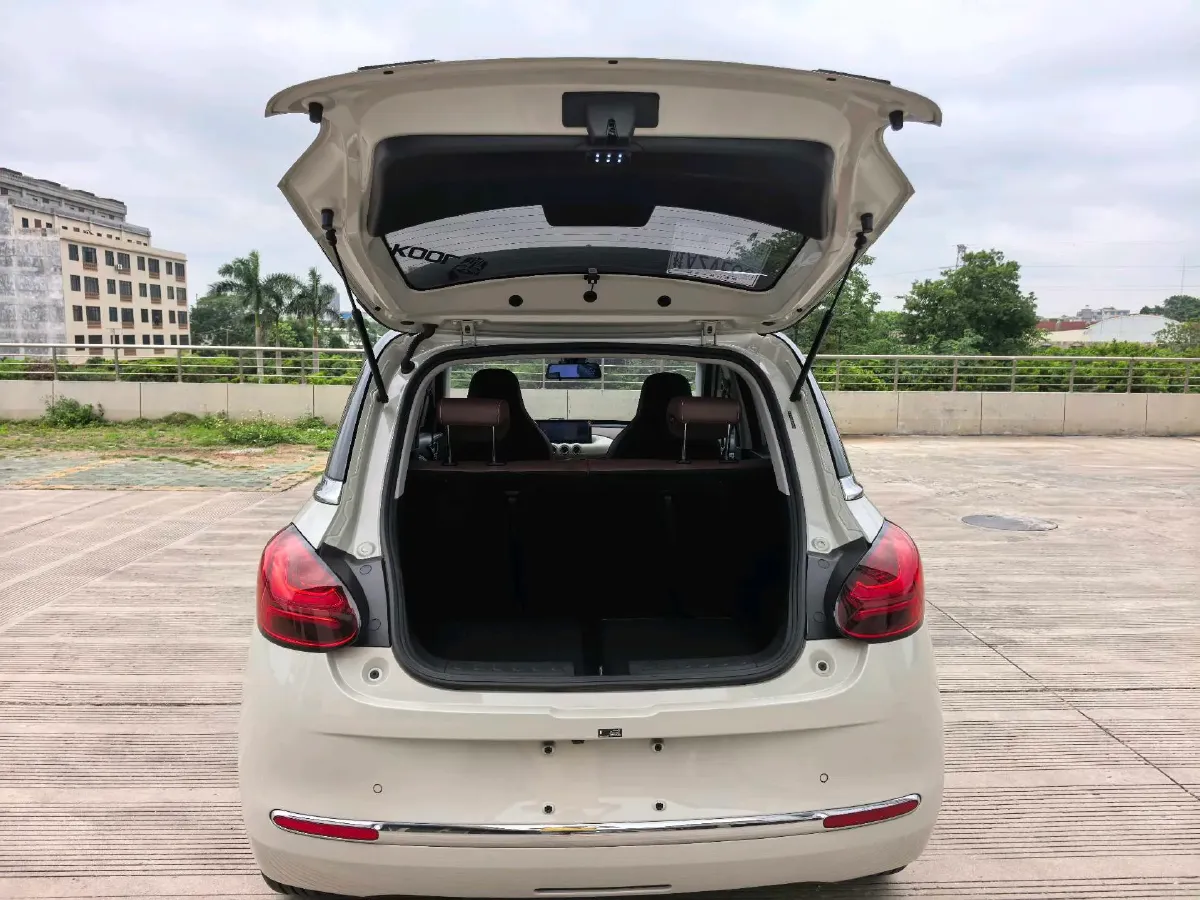 2023 WuLing BinGuo BEV 31.9KWH,autocango,china used car exporter,china ev exporter,chinese used car exporter,chinese used ev exporter
