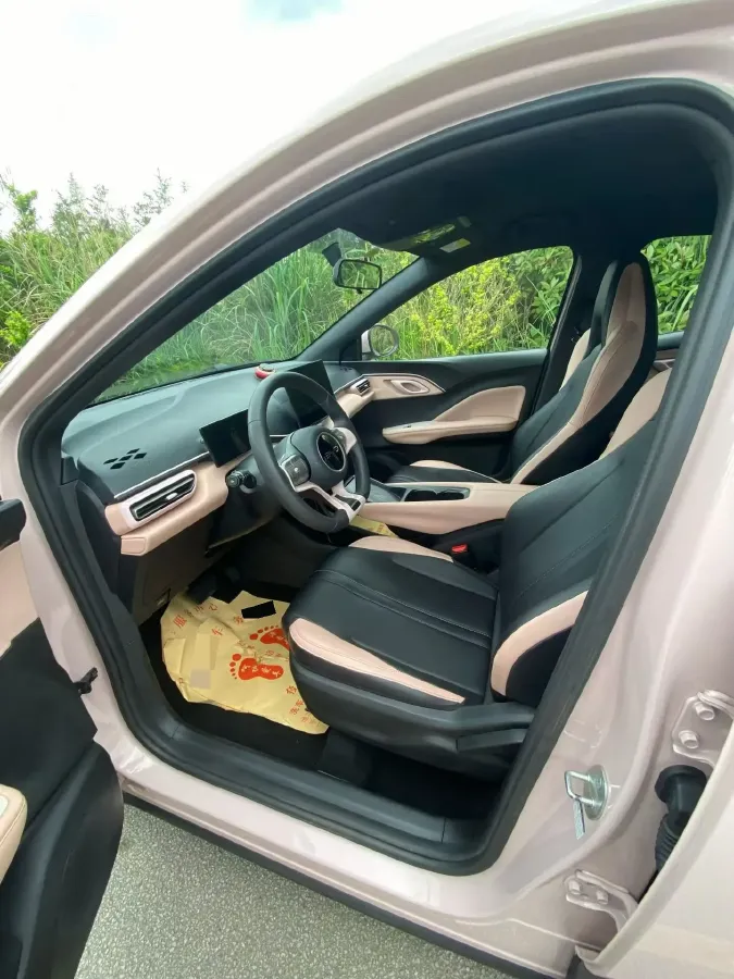 2025 BYD Seagull BEV 30.08KWH,autocango,china used car exporter,china ev exporter,chinese used car exporter,chinese used ev exporter