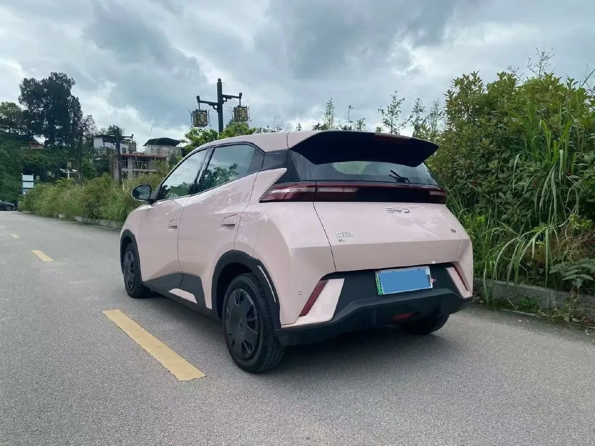2025 BYD Seagull BEV 30.08KWH,autocango,china used car exporter,china ev exporter,chinese used car exporter,chinese used ev exporter