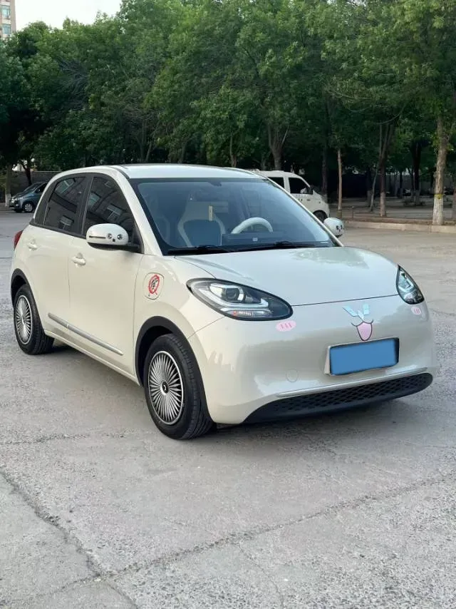 2023 WuLing BinGuo BEV 17.3KWH,autocango,china used car exporter,china ev exporter,chinese used car exporter,chinese used ev exporter
