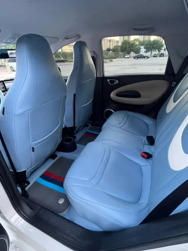 2023 WuLing BinGuo BEV 17.3KWH,autocango,china used car exporter,china ev exporter,chinese used car exporter,chinese used ev exporter