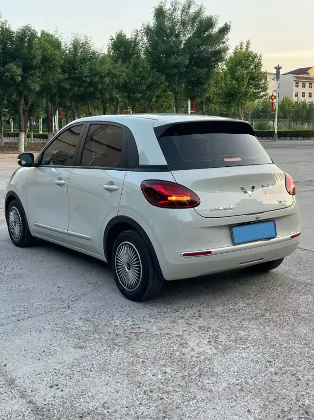 2023 WuLing BinGuo BEV 17.3KWH,autocango,china used car exporter,china ev exporter,chinese used car exporter,chinese used ev exporter