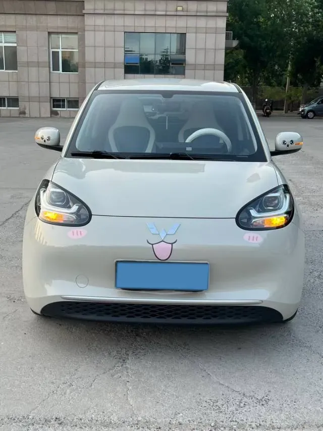2023 WuLing BinGuo BEV 17.3KWH,autocango,china used car exporter,china ev exporter,chinese used car exporter,chinese used ev exporter