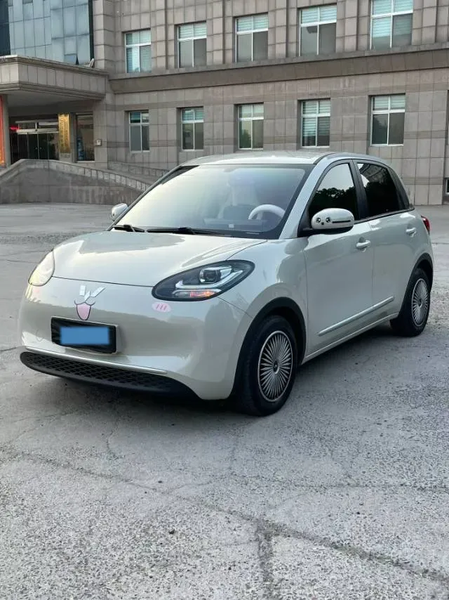 2023 WuLing BinGuo BEV 17.3KWH,autocango,china used car exporter,china ev exporter,chinese used car exporter,chinese used ev exporter