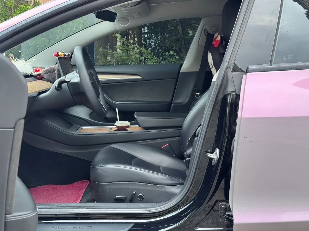 2021 Tesla Model 3 BEV 55KWH,autocango,china used car exporter,china ev exporter,chinese used car exporter,chinese used ev exporter