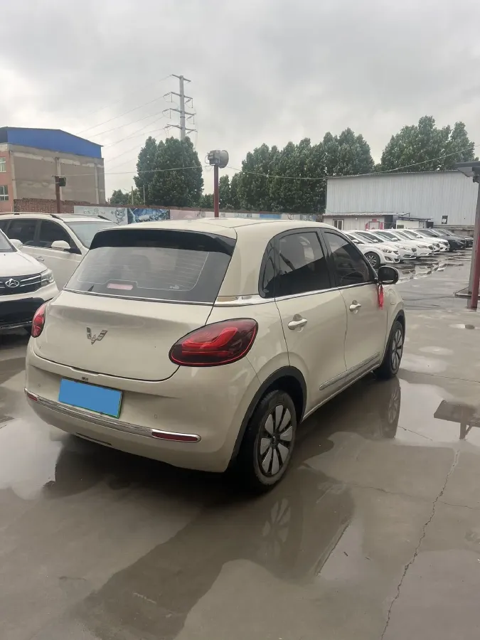 2023 WuLing BinGuo BEV 17.3KWH,autocango,china used car exporter,china ev exporter,chinese used car exporter,chinese used ev exporter