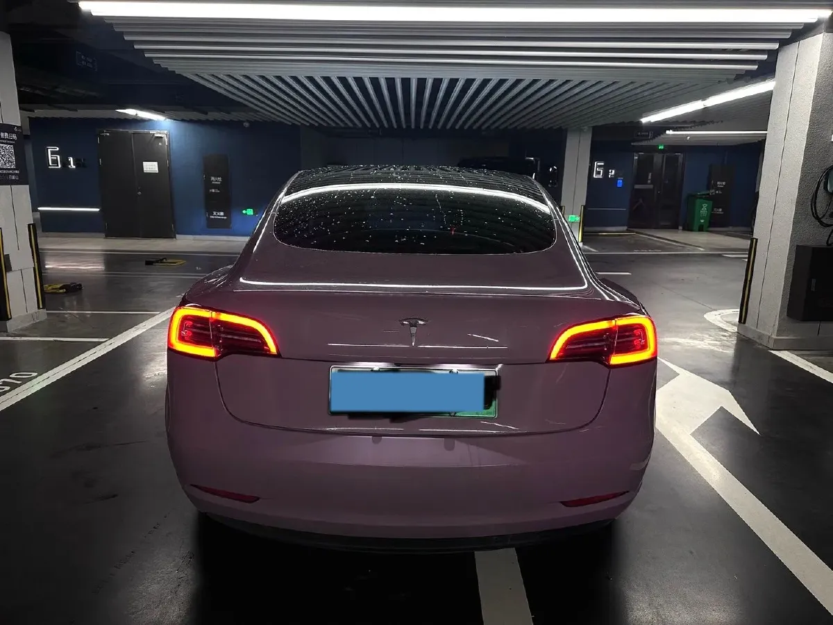 2021 Tesla Model 3 BEV 55KWH,autocango,china used car exporter,china ev exporter,chinese used car exporter,chinese used ev exporter