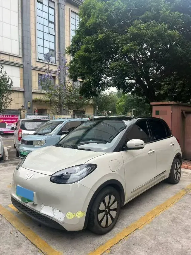 2023 WuLing BinGuo BEV 31.9KWH,autocango,china used car exporter,china ev exporter,chinese used car exporter,chinese used ev exporter