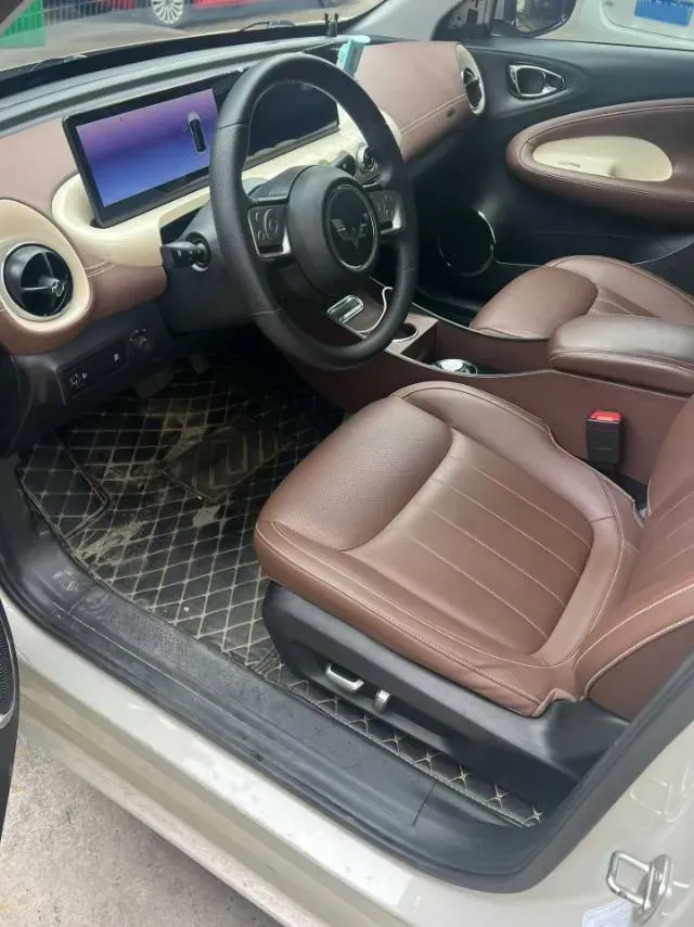 2023 WuLing BinGuo BEV 31.9KWH,autocango,china used car exporter,china ev exporter,chinese used car exporter,chinese used ev exporter