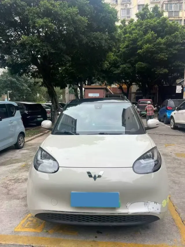2023 WuLing BinGuo BEV 31.9KWH,autocango,china used car exporter,china ev exporter,chinese used car exporter,chinese used ev exporter