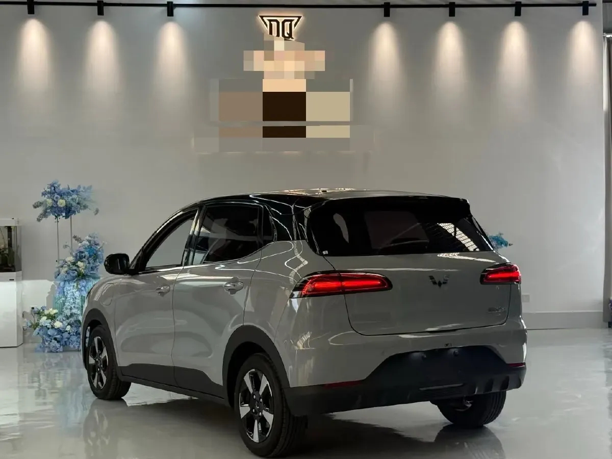 2024 WuLing BinGuoPLUS BEV 50.6KWH,autocango,china used car exporter,china ev exporter,chinese used car exporter,chinese used ev exporter