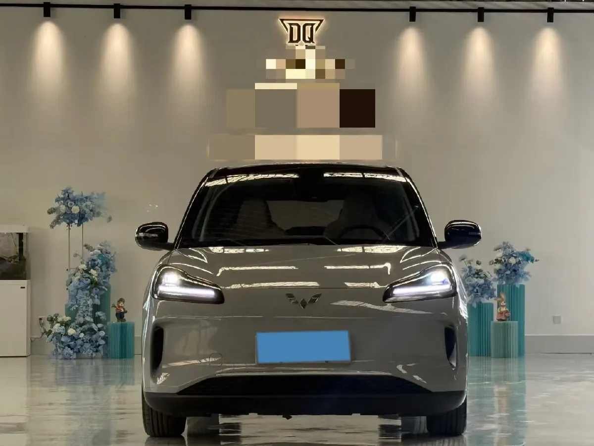 2024 WuLing BinGuoPLUS BEV 50.6KWH,autocango,china used car exporter,china ev exporter,chinese used car exporter,chinese used ev exporter