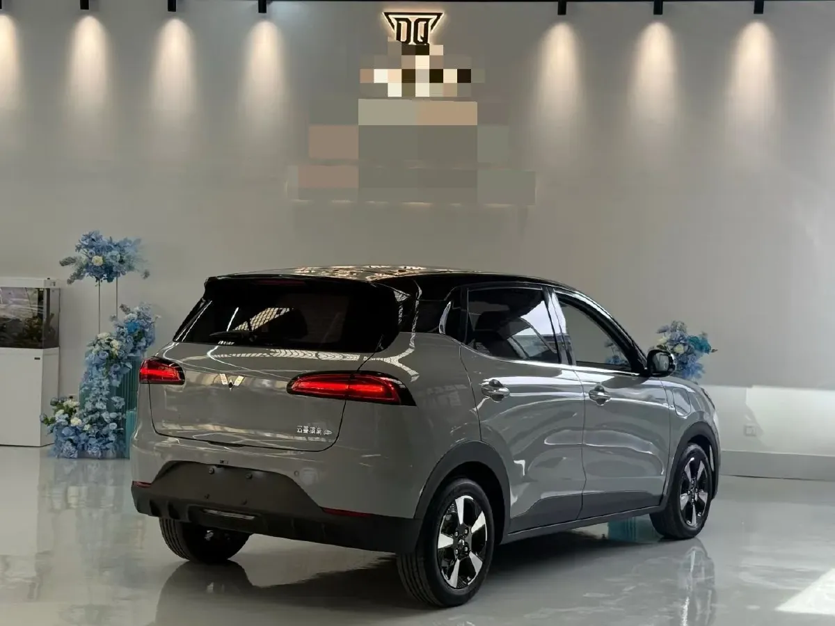 2024 WuLing BinGuoPLUS BEV 50.6KWH,autocango,china used car exporter,china ev exporter,chinese used car exporter,chinese used ev exporter